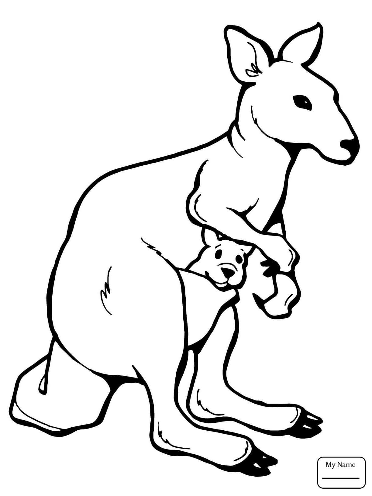 1224x1632 Kangaroos Mammals Baby Kangaroo With Mother Coloring Pages