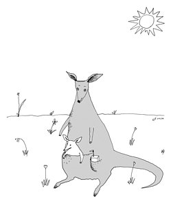 252x300 Baby Kangaroo Drawings Fine Art America