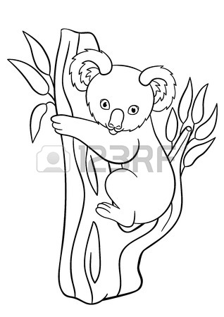 318x450 Coloring Pages. Little Cute Baby Koala Sits On The Tree Branch