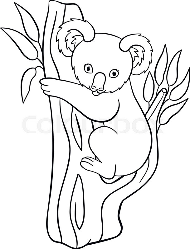 609x800 Coloring Pages. Little Cute Baby Koala Sits On The Tree Branch
