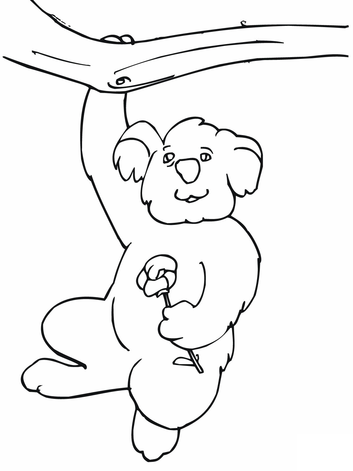 1200x1600 Free Printable Koala Coloring Pages For Kids