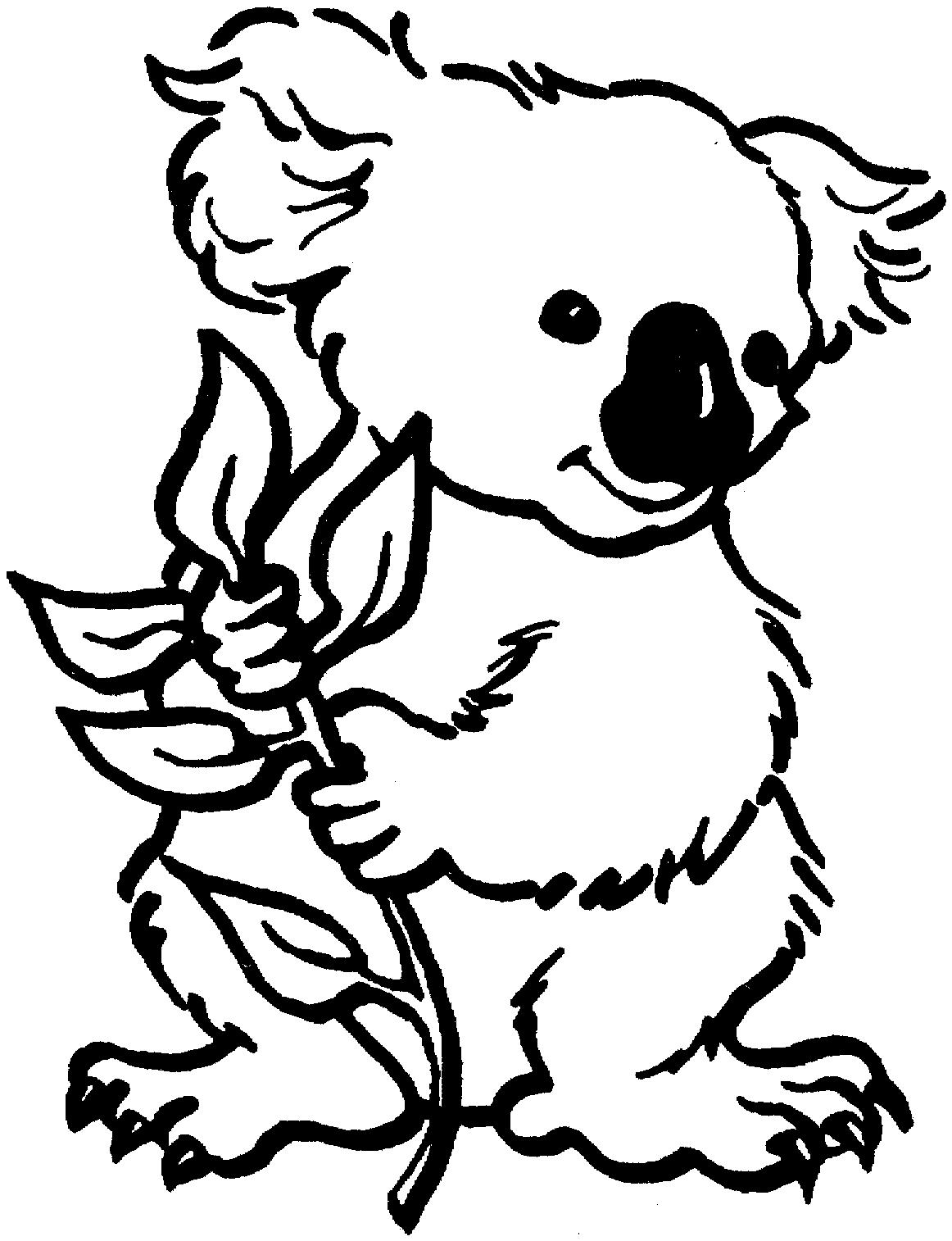 1162x1514 Baby Koala Bear Coloring Pages Coloring Pages