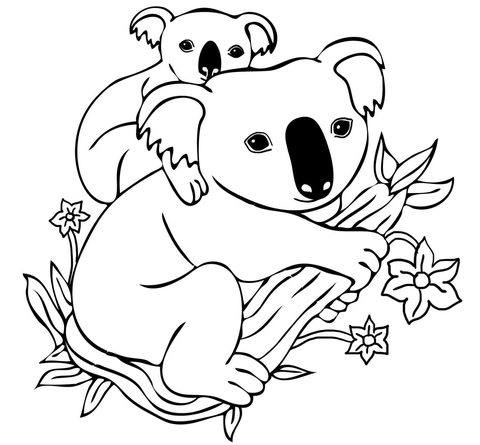 480x445 Baby Koala On Mother's Back Coloring Page Free Printable