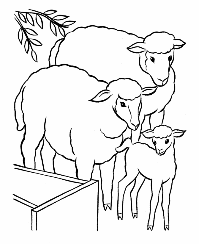 670x820 Lamb Coloring Pages