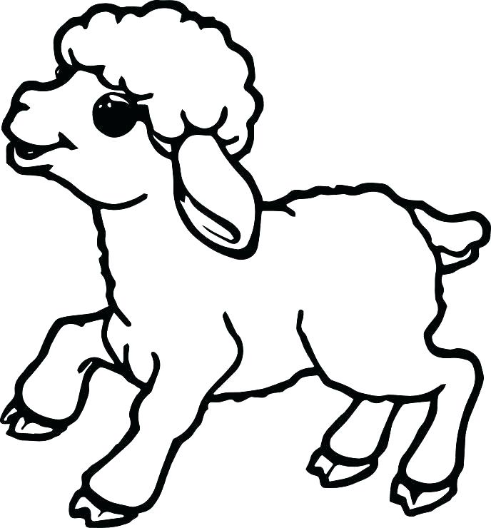 688x740 Minimalist Lamb Coloring Page Free Download Image Images Pages