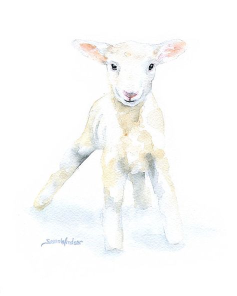 474x592 Pin By Dagmar Burkhardt On Osternhasen Watercolor