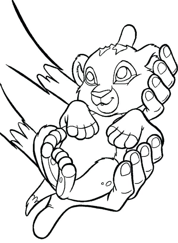 600x818 Baby Lion Coloring Pages Cortefocal.site