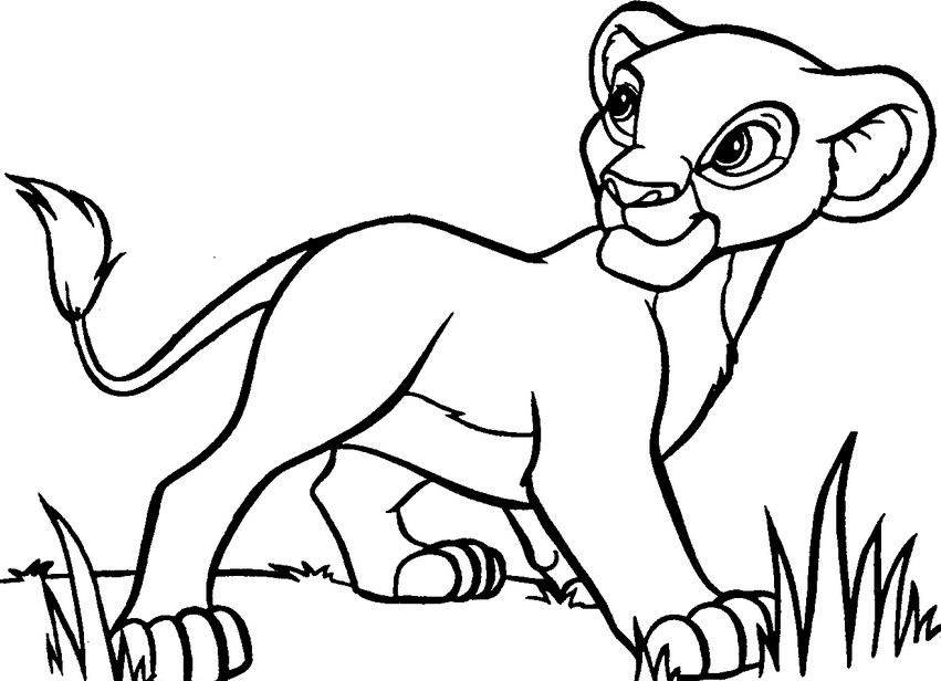 851x616 Cute Baby Lion Coloring Page For Kids Free Free Coloring Book