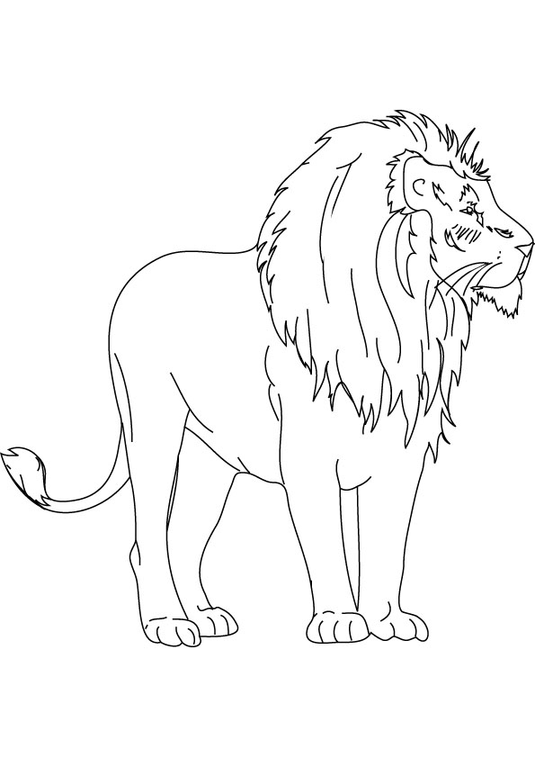 595x842 Baby Lion Coloring Drawing
