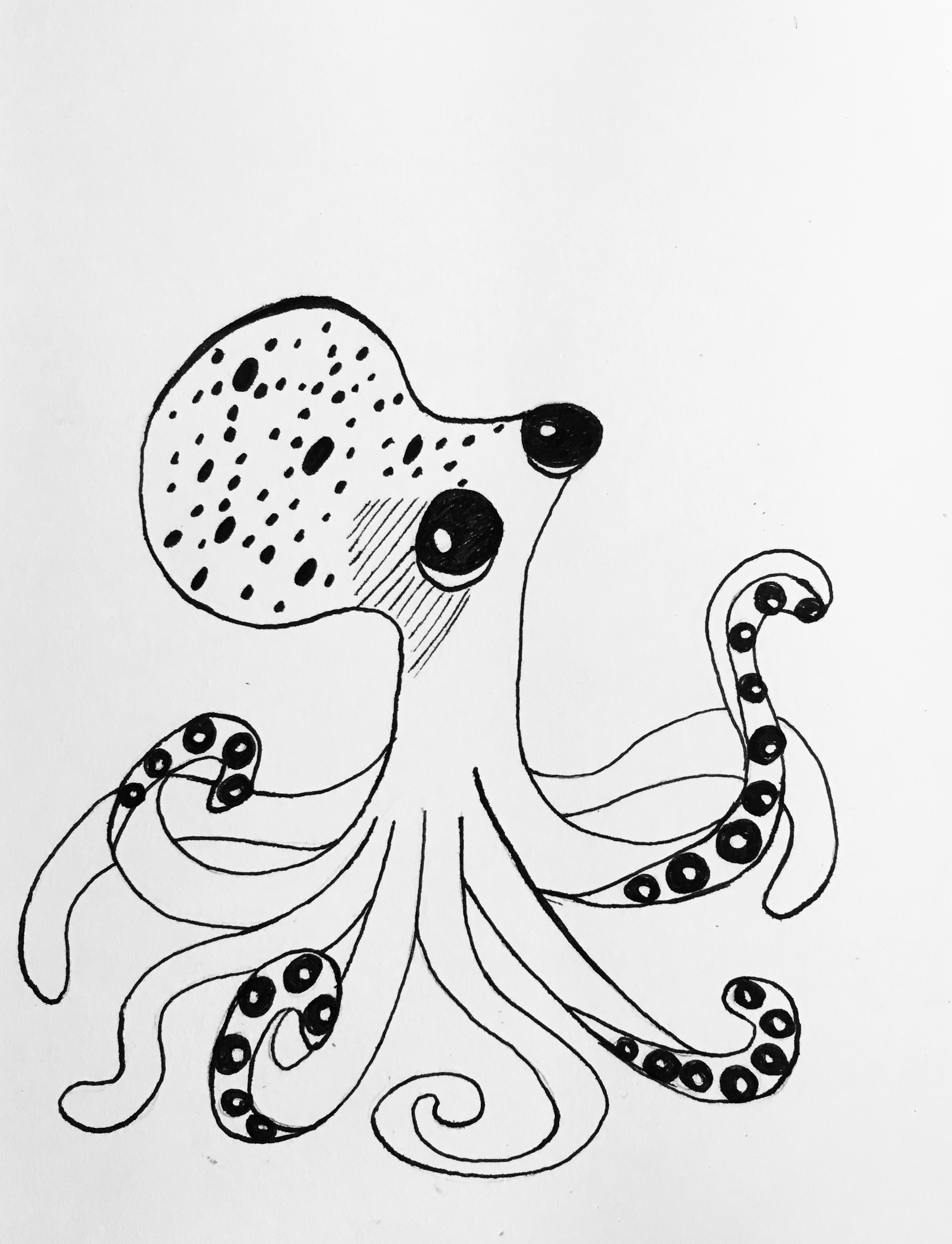 2433x3178 Day 6 Baby Octopus By Louisethesim