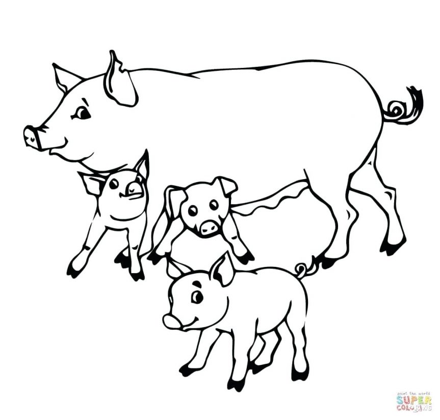 Baby Outline Drawing at GetDrawings | Free download