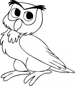 262x302 How To Draw How To Draw Baby Owl