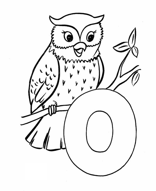 650x796 Owl Template