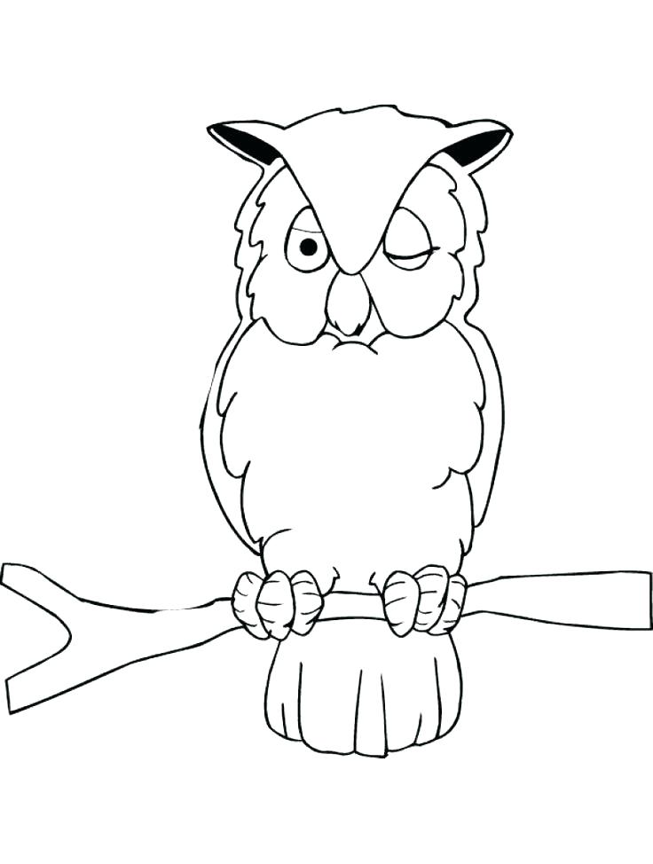 736x974 Baby Owl Coloring Pages