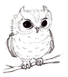 236x269 Baby Owl Pictures To Draw Wallpaper Sportstle
