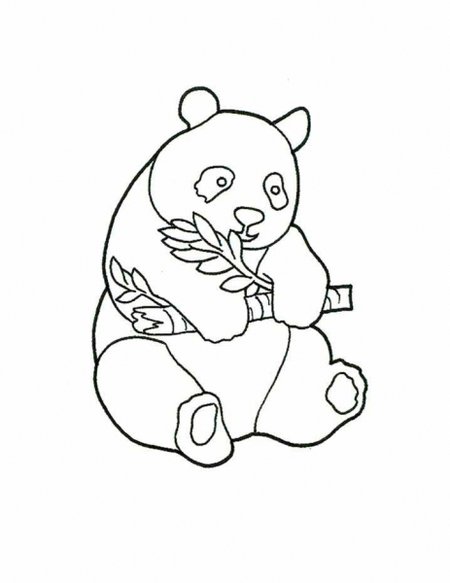 450x583 Cute Baby Panda Coloring Pages For Kids Gtgt Disney Coloring Pages