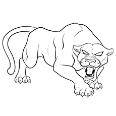 Baby Panther Drawing at GetDrawings | Free download