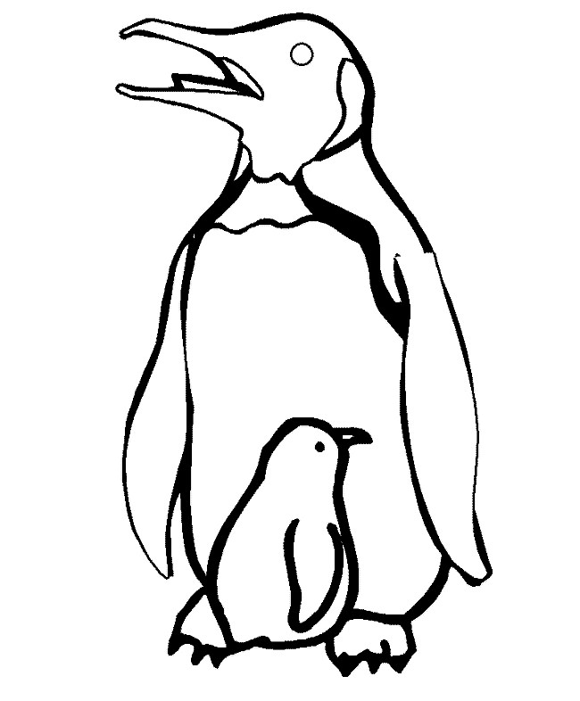 650x786 Penguin Template