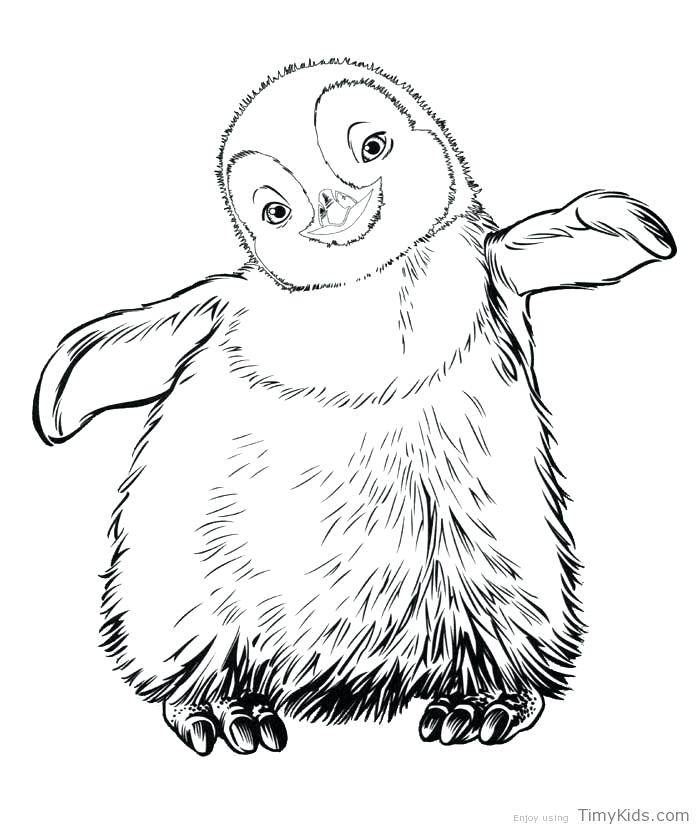 700x830 Baby Penguin Coloring Pages Affan
