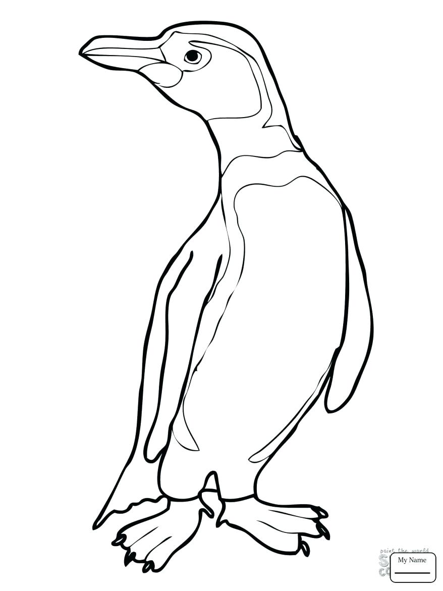 878x1171 Coloring Madagascar Penguins Coloring Pages For Kids Baby Penguin