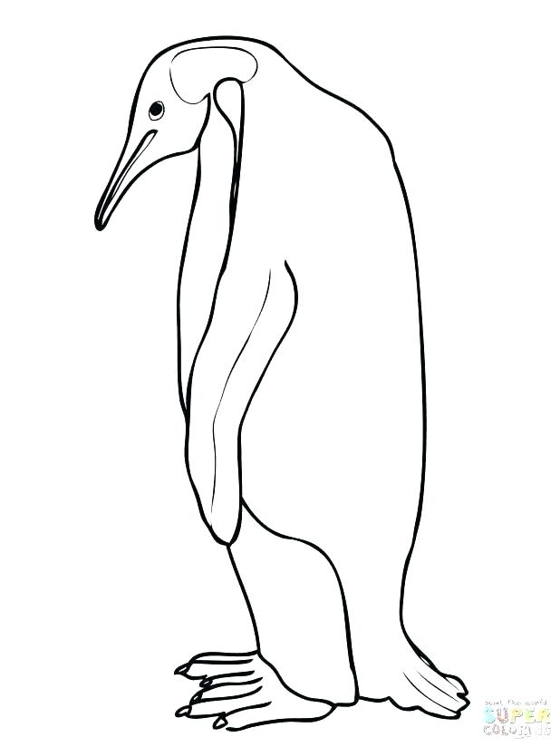 618x824 Baby Penguin Coloring Pages Baby Penguin Coloring Pages Ideas Cute
