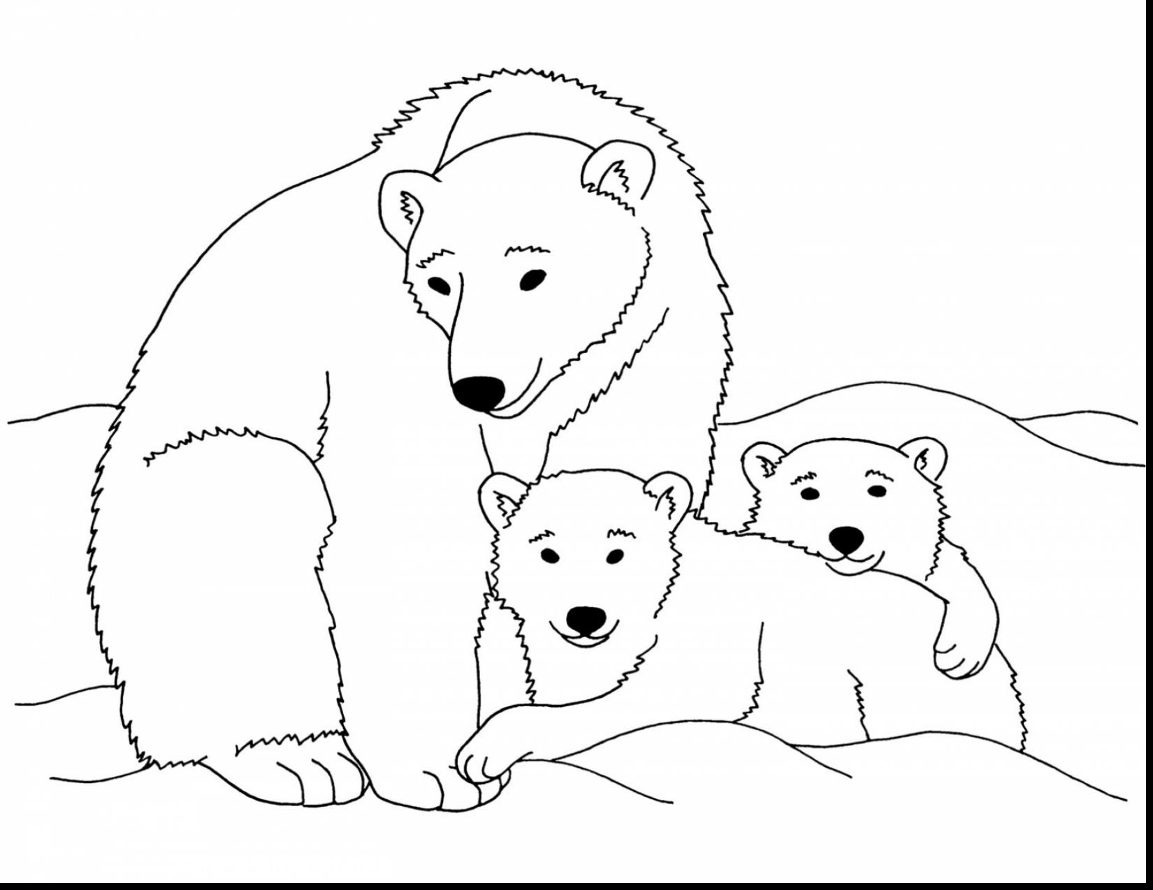 1650x1274 Baby Polar Bear Coloring Pages