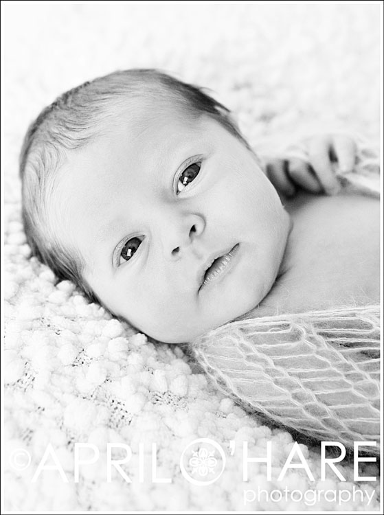 559x750 Colorado Newborn Baby Photography