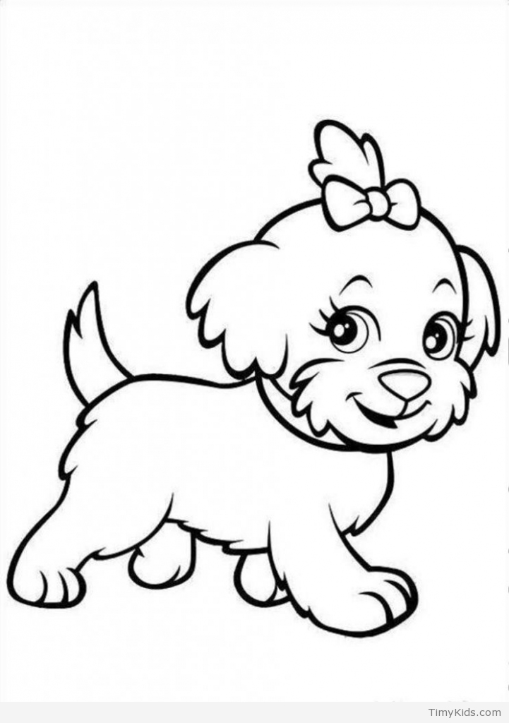 Baby Puppy Drawing