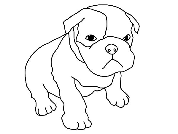 600x450 Baby Puppy Coloring Pages