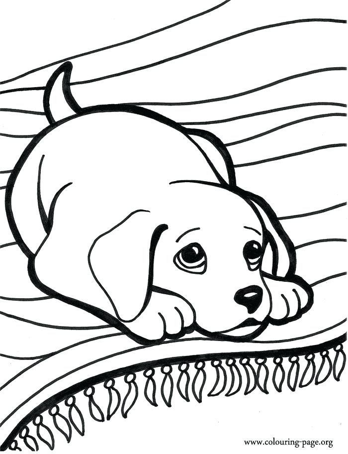 700x912 Baby Puppy Coloring Pages Best Puppy Coloring Pages Ideas On Dog