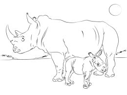 260x194 Coloring Pages Com Www Baby Rhino