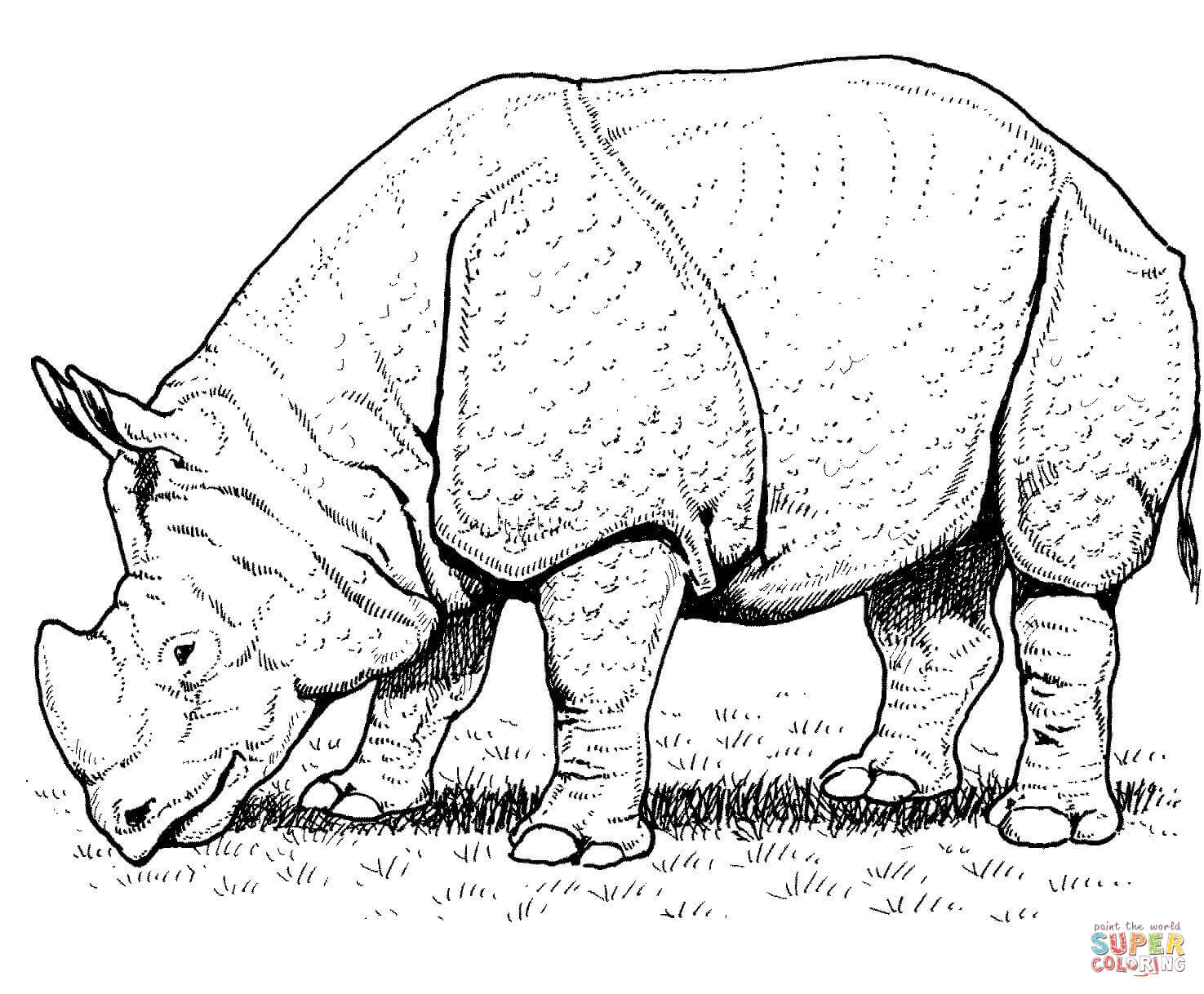 1475x1218 Indian Rhino Coloring Page Free Printable Coloring Pages