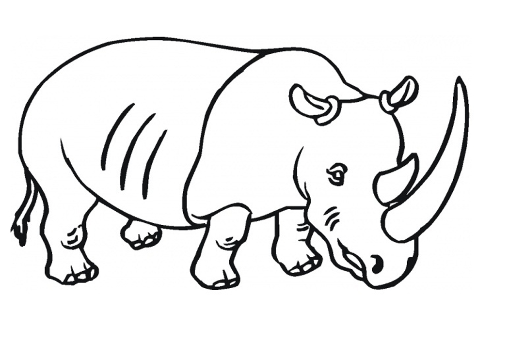 1050x706 Nice Rhino Coloring Page Free Printable Rhinoceros Pages For Kids