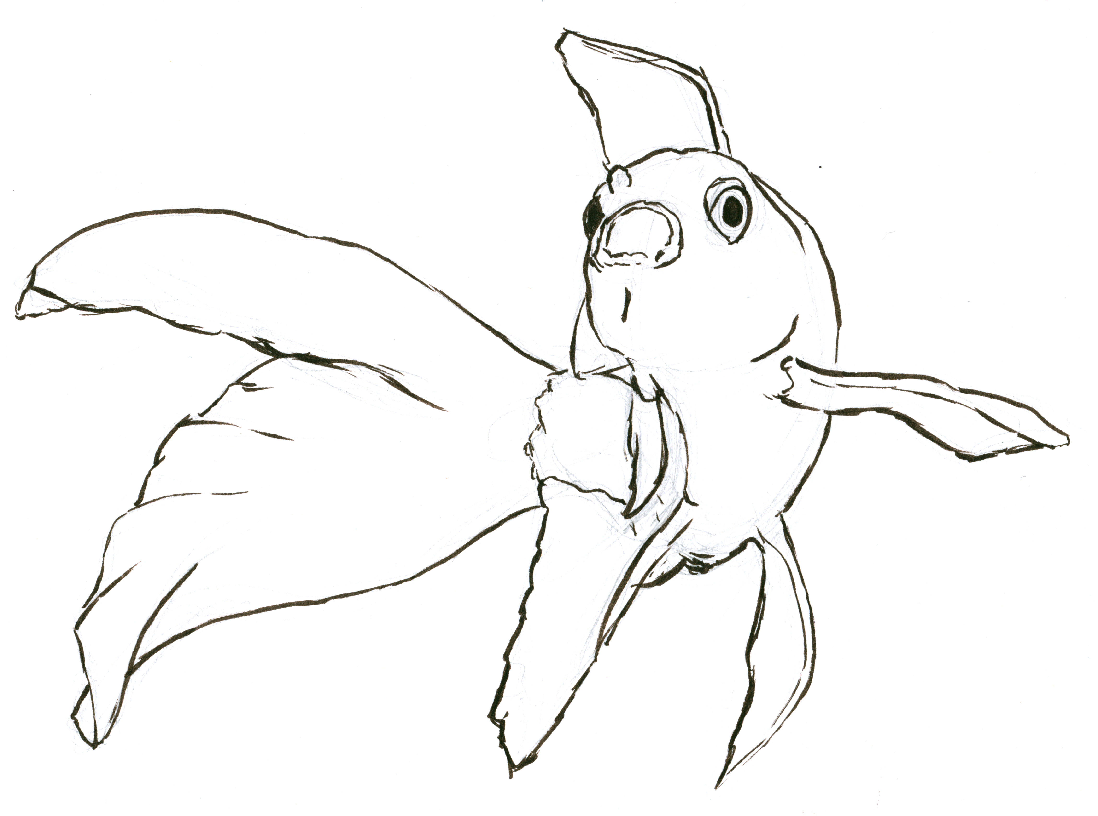 4580x3407 Weekend Inky Drawings Baby Rhino, Goldfish, Pluto Amp A Hand