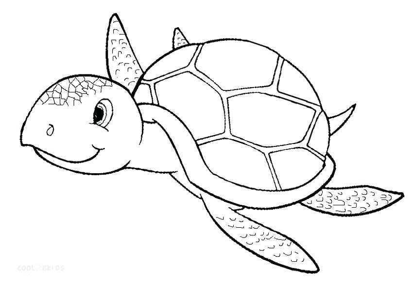 850x594 Sea Turtle Pictures To Color