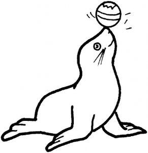 291x300 Coloring Pages Of Seals