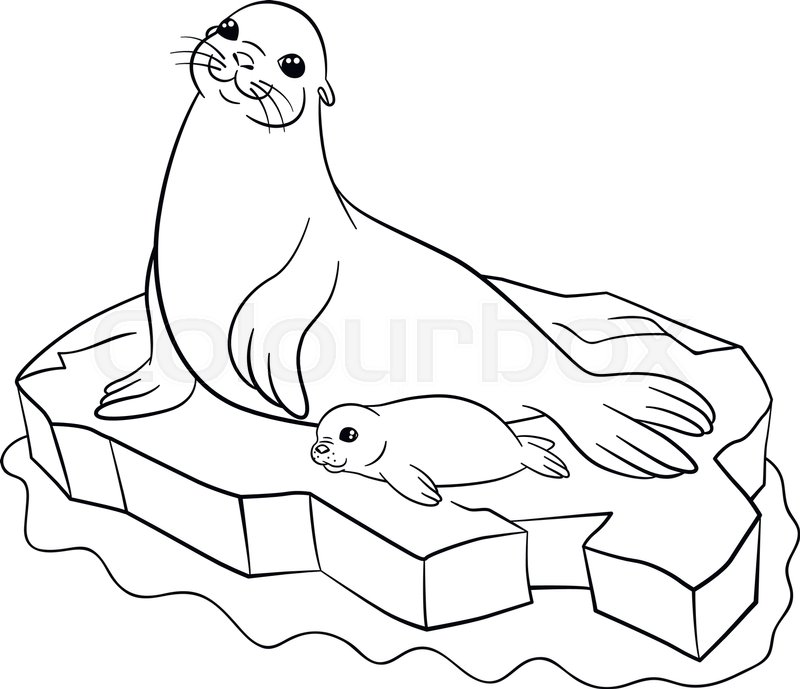 800x689 Coloring Pages. Mother Seal With Her Little Cute Baby On The Ice