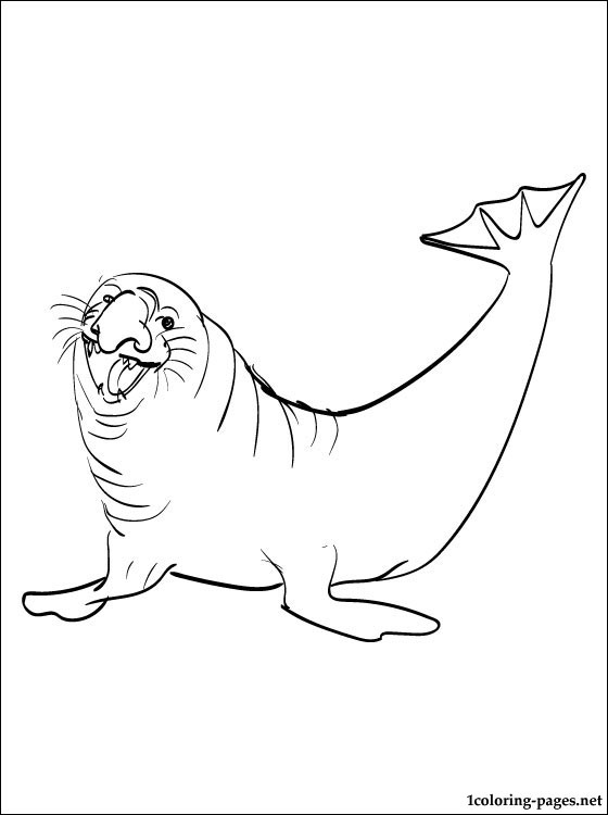 560x750 Coloring Picture Elephant Seal Coloring Pages