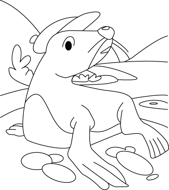 558x626 Mr Seal Alone Thinker Coloring Pages Download Free Mr Seal Alone