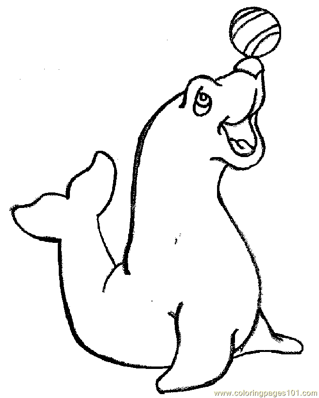 657x821 Seal Coloring Page Free Circus Animals Pages