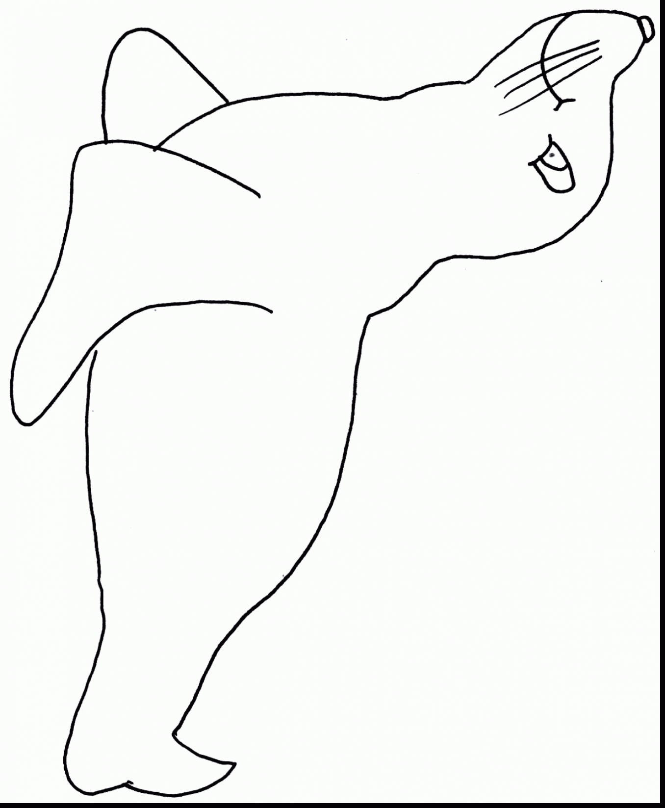 1356x1647 Marvelous Drawings Of Seals Coloring Pages With Seal Coloring