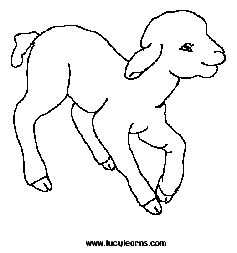 470x500 Drawing Of A Sheep Sheet Goat Drawing