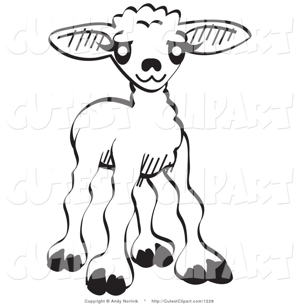 1024x1044 Royalty Free Sheep Stock Cute Designs