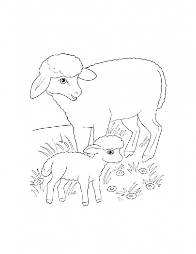 405x525 Free Coloring Pages Of Baby Birds In Nest Sheep Mother And Lamb