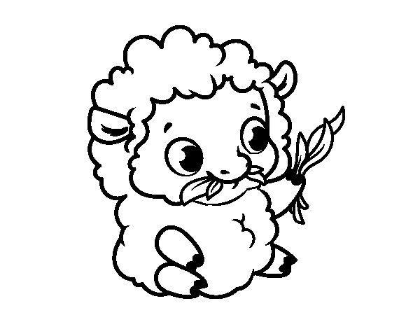 600x470 Baby Sheep Coloring Page