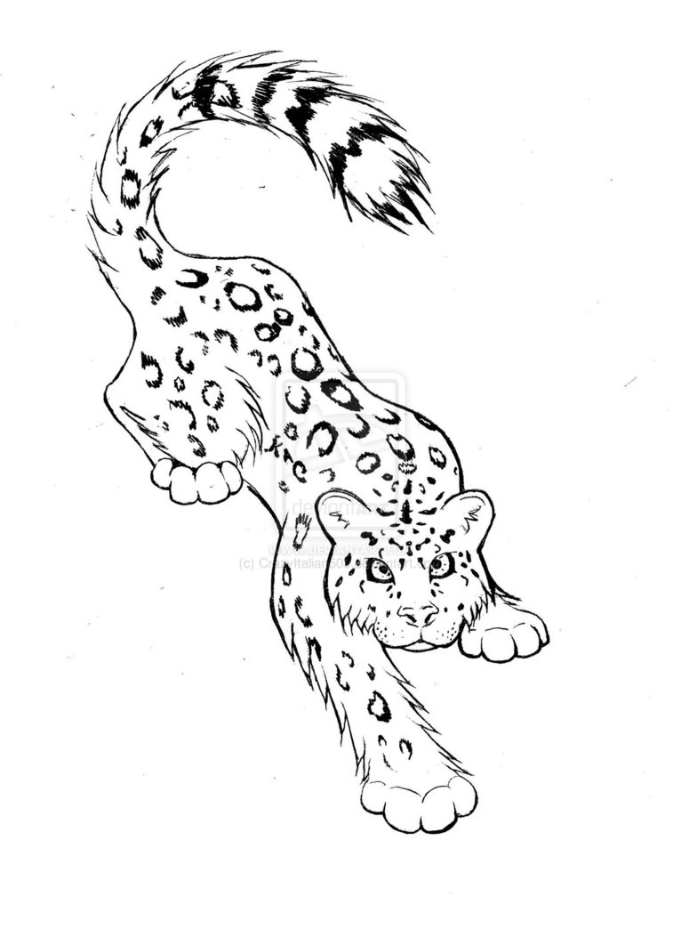 766x1044 Snow Leopard Tattoo Model Tattoobite. Karate