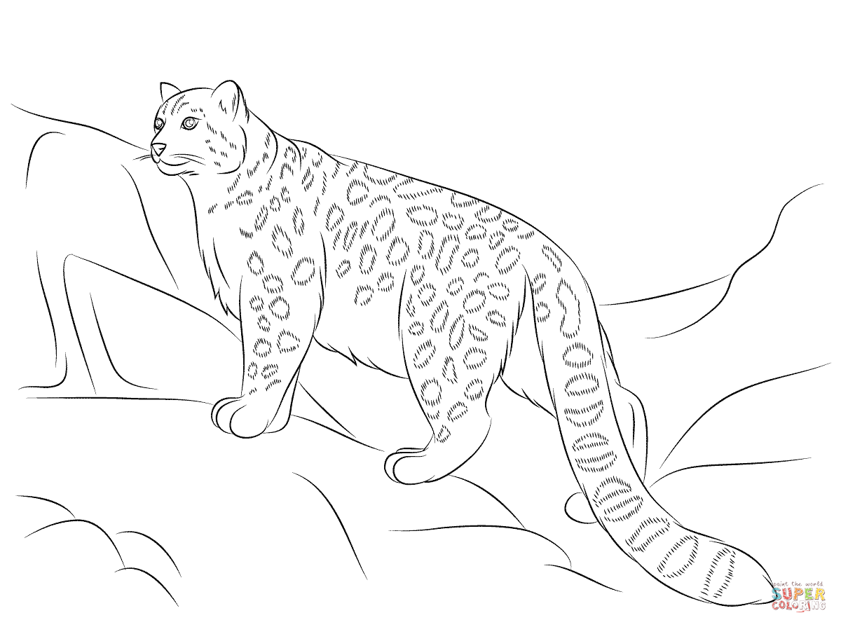 1200x895 Snow Leopard Coloring Page Free Printable Coloring Pages