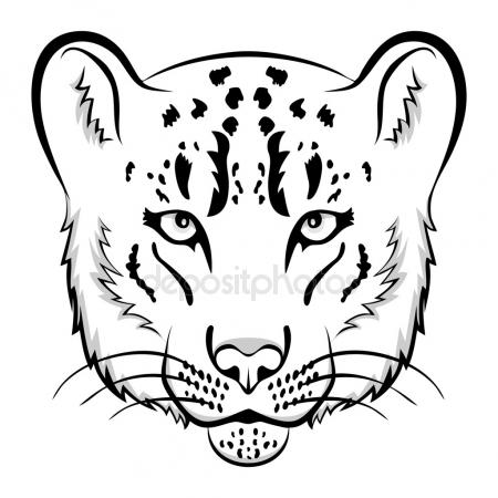 450x450 Snow Leopard Head Stock Vector Silvertiger
