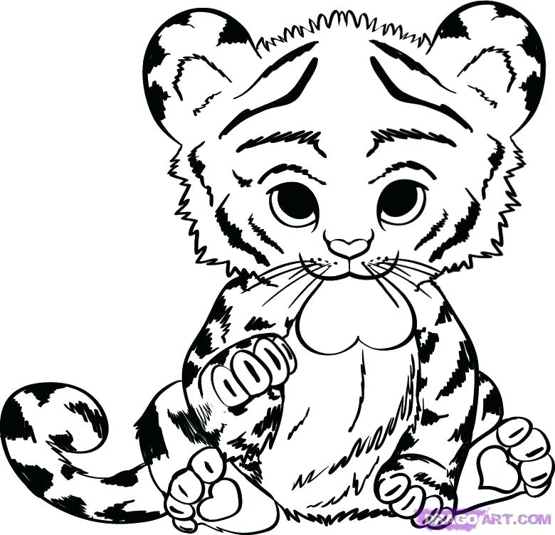 780x752 White Tiger Coloring Pages Free Online White Tiger Coloring Pages