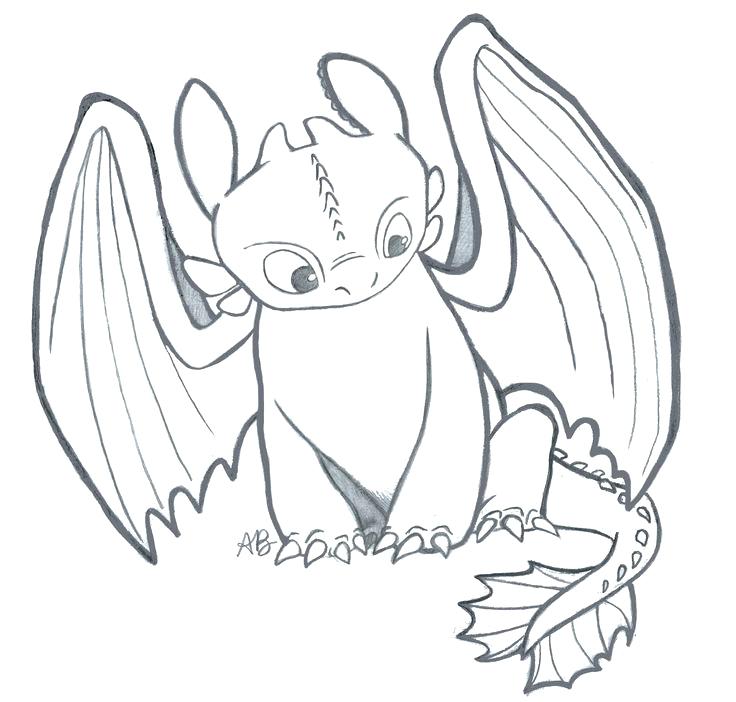 736x702 Classy Toothless Coloring Pages Print How To Train Your Dragon